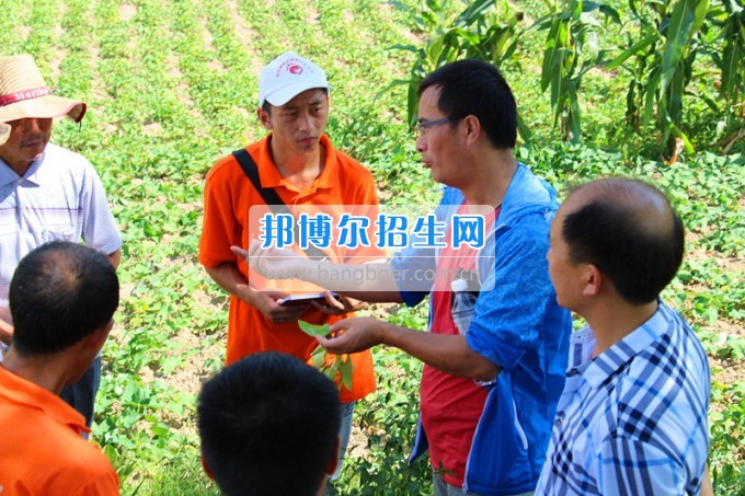 貴州師范大學求是學院領(lǐng)導攜專家一行看望慰問學院赴德江暑期“三下鄉(xiāng)”服務隊