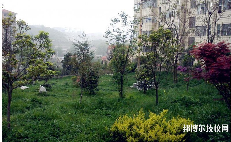 貴陽長城職業(yè)學(xué)校怎么樣、好不好