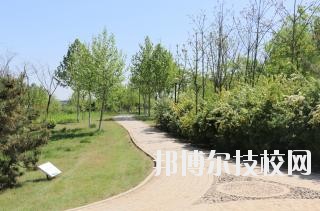 石家莊中英航空中等專業(yè)學(xué)校2020年報名條件、招生要求、招生對象