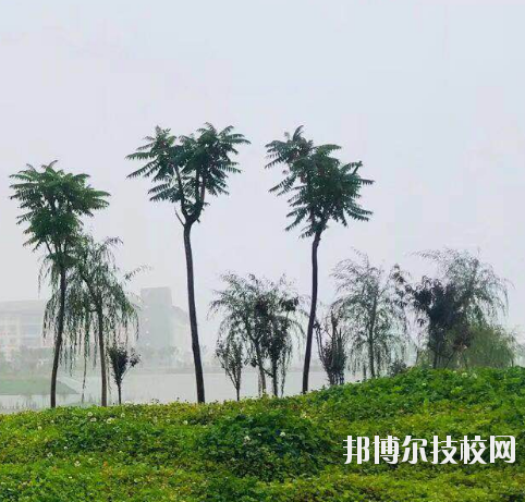 甘肅財貿(mào)職業(yè)學(xué)院2020年學(xué)費、收費多少