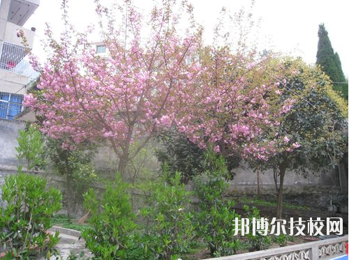 嵐皋縣中等職業(yè)技術(shù)學(xué)校2020年報(bào)名條件、招生要求、招生對象