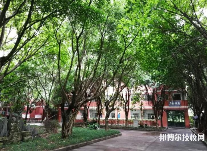 重慶舞蹈學(xué)校2020年報(bào)名條件、招生要求、招生對象