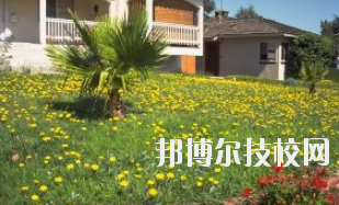 同學們需要依據(jù)自己所了解的情況來選擇學校，那么這也決定看同學們需要去了解這些學校的招生簡章，以便可以清楚的了解學校信息。下面就由小編給同學們介紹的有關于蘭州園藝學校招生簡章以及相關情況，以供大家參考了解。  蘭州園藝學校層次：中專  蘭州園藝學校性質：公辦  蘭州園藝學校地址：蘭州市西固區(qū)范家坪  蘭州園藝學校介紹 蘭州園藝學校是全省唯一一所園藝、設施園藝、園林花卉、生態(tài)環(huán)境保護、建筑裝飾、旅游服務管理、計算機網(wǎng)絡技術、古建筑油漆彩畫等專業(yè)為一體的國辦全日制普通中等專業(yè)學校。  學校地處全省政治經(jīng)濟文化中心蘭州市,占地面積8萬平方米。有各類教學實驗室14個，擁有圖書館、閱覽室、組培室、微機室、語音室、電教室、校園網(wǎng)等各類教學設施。校園環(huán)境幽靜、空氣清新、規(guī)劃科學、設計獨特。校園內溫熱帶花卉品種齊全，三季有花，四季常青，教學生活設施齊全，師資力量雄厚校風優(yōu)良。學校在珠海、深圳、上海、昆明、蘭州和平牡丹園等地有多處實習基地。學校以獨特的專業(yè)設置，超長的市場預測和嚴格的管理，為社會培養(yǎng)了大批實用型中等專業(yè)人才，畢業(yè)生就業(yè)面積廣，就業(yè)率高。  了解了蘭州園藝學校的信息后，就知道簡章也是可以用來選擇學校的。以上就是小編給大家整理的蘭州園藝學校招生簡章，想要了解更多有關于學校信息的同學們是可以直接咨詢了解邦博爾相關網(wǎng)站。