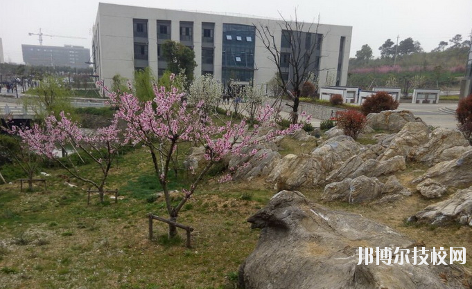 鎮(zhèn)江技師學(xué)院2020年報(bào)名條件、招生要求、招生對象