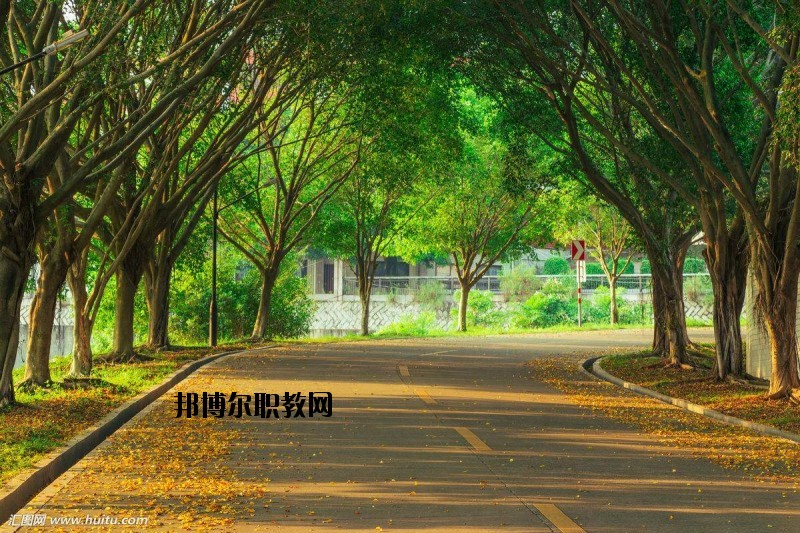 仙桃金園職業(yè)高級中學2020年報名條件、招生要求、招生對象