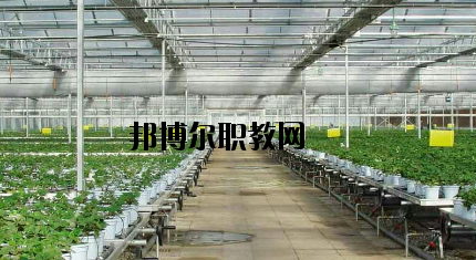 隴南農(nóng)業(yè)學(xué)校怎么樣、好不好
