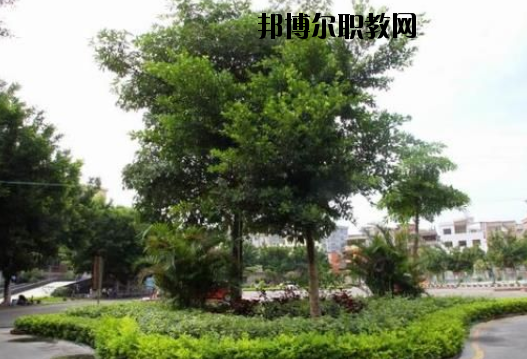 羅定中等職業(yè)技術(shù)學(xué)校2020年報(bào)名條件、招生要求、招生對象