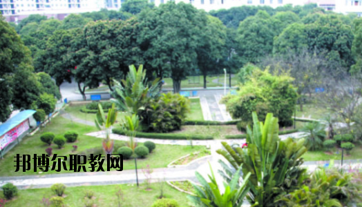 廣西百色農(nóng)業(yè)學(xué)校2020年報(bào)名條件、招生要求、招生對(duì)象 