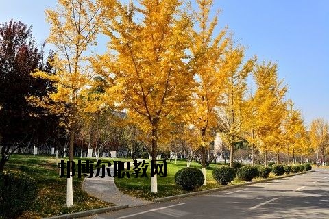 蘄春李時(shí)珍中等專業(yè)學(xué)校怎么樣、好不好