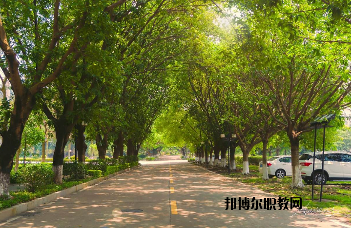 河南團校2021年報名條件、招生要求、招生對象