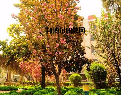 新鄉(xiāng)工業(yè)學(xué)校2021年報名條件、招生對象