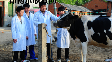 甘南畜牧學(xué)校2020年學(xué)費、收費多少