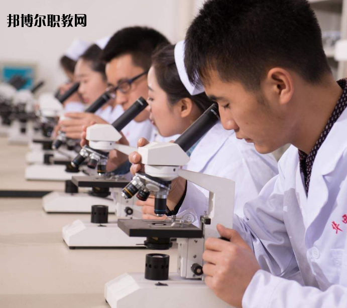 焦作護(hù)理學(xué)校怎么樣、好不好