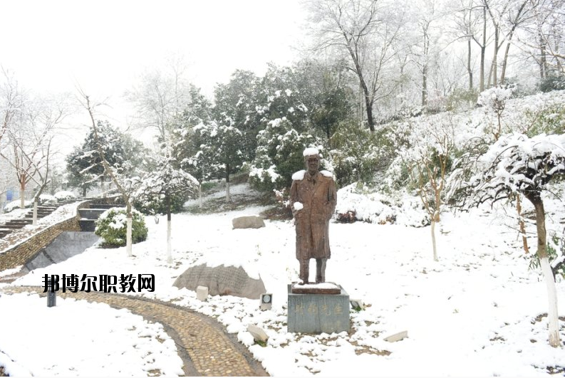 南京工業(yè)大學(xué)2020年報(bào)名條件、招生要求、招生對象