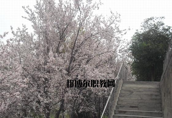 ?？德毥讨行膶W(xué)校網(wǎng)址網(wǎng)站