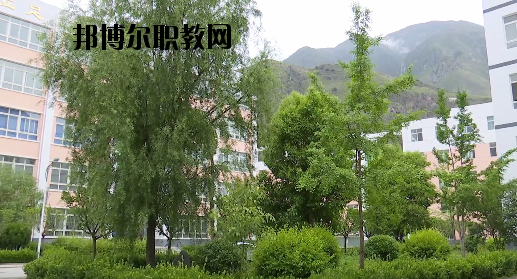 文縣職業(yè)技術(shù)學(xué)校2020年報名條件、招生要求、招生對象