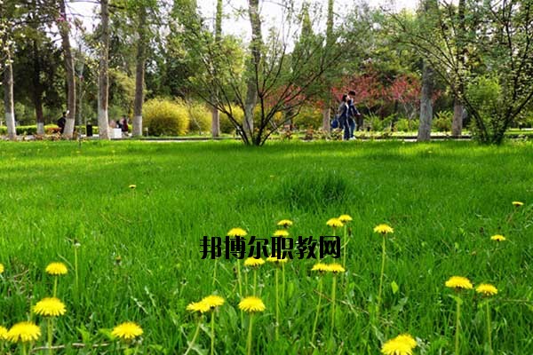 雙江縣職教中心2020年報名條件、招生要求、招生對象