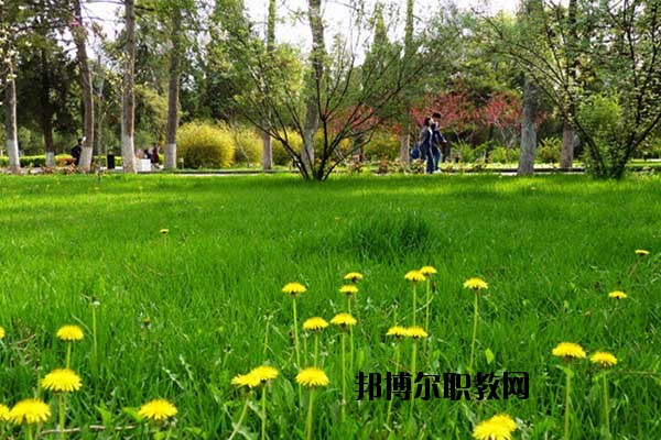 雙江縣職教中心怎么樣、好不好