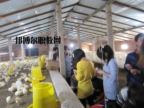 通許中等職業(yè)學(xué)校2021年學(xué)費(fèi)、收費(fèi)多少