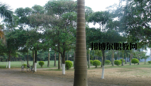 合浦石康職業(yè)技術(shù)學(xué)校怎么樣、好不好