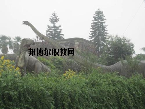 自貢三星職業(yè)技術(shù)學(xué)校2020年報名條件、招生要求、招生對象