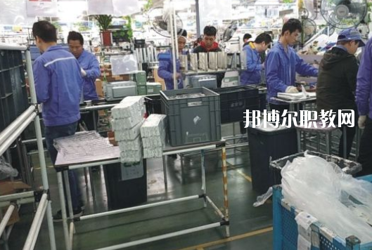 遂溪縣職業(yè)技術(shù)學(xué)校2020年報名條件、招生要求、招生對象