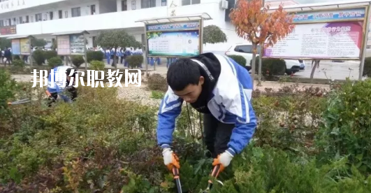 秦安縣古城農(nóng)業(yè)中學(xué)怎么樣、好不好
