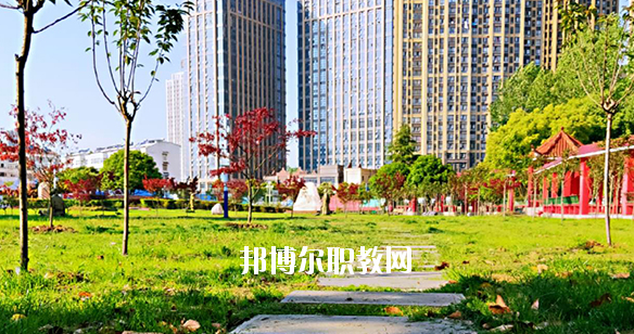 合肥飛躍學(xué)校2020年報名條件、招生要求、招生對象 