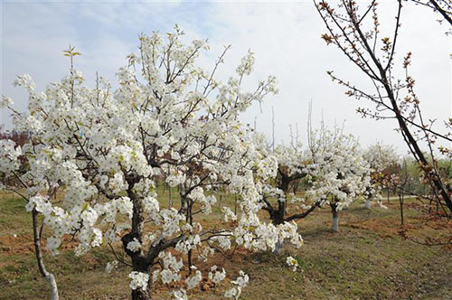宿遷高等師范學(xué)校怎么樣、好不好