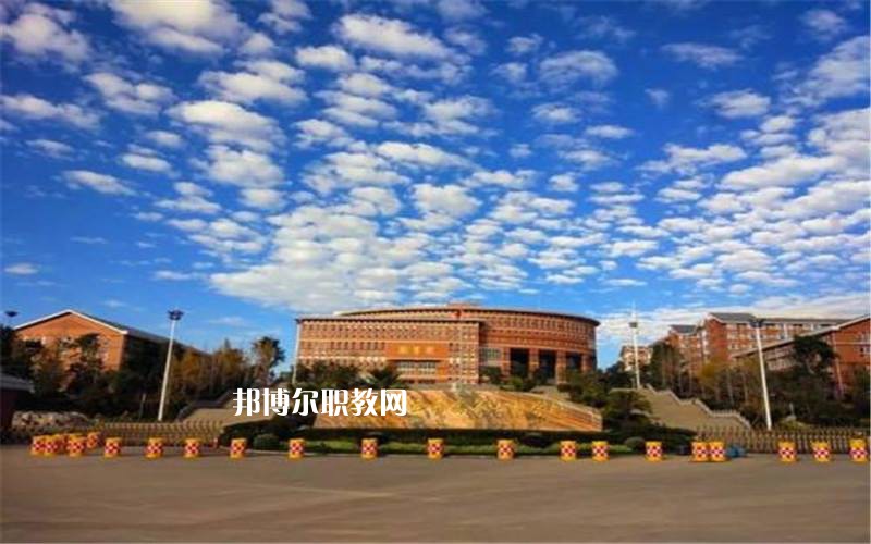 保山中醫(yī)藥高等?？茖W(xué)校網(wǎng)站網(wǎng)址