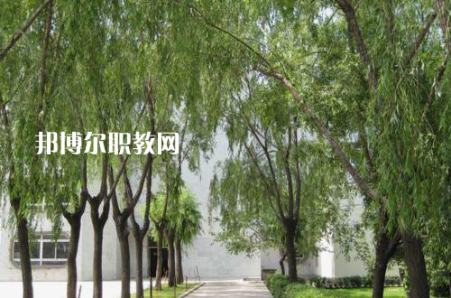 新疆喀什地區(qū)衛(wèi)生學(xué)校2021年報名條件、招生要求、招生對象