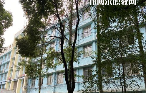 武漢江南技術(shù)學(xué)校2021年招生辦聯(lián)系電話(huà)