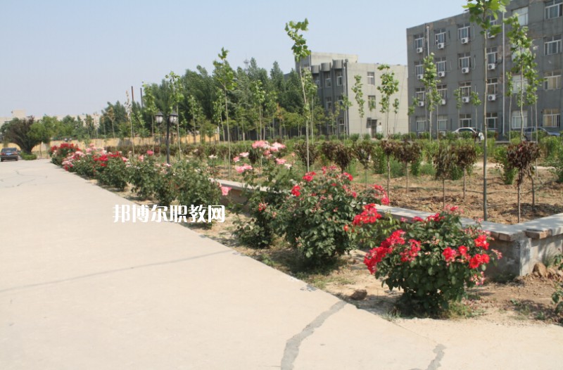 武強綜合職業(yè)技術(shù)教育中心2022年報名條件、招生要求、招生對象