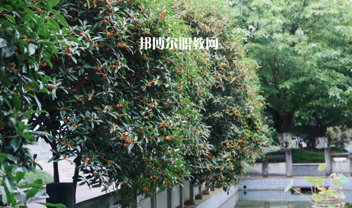 德陽通用電子科技學(xué)校怎么樣、好不好