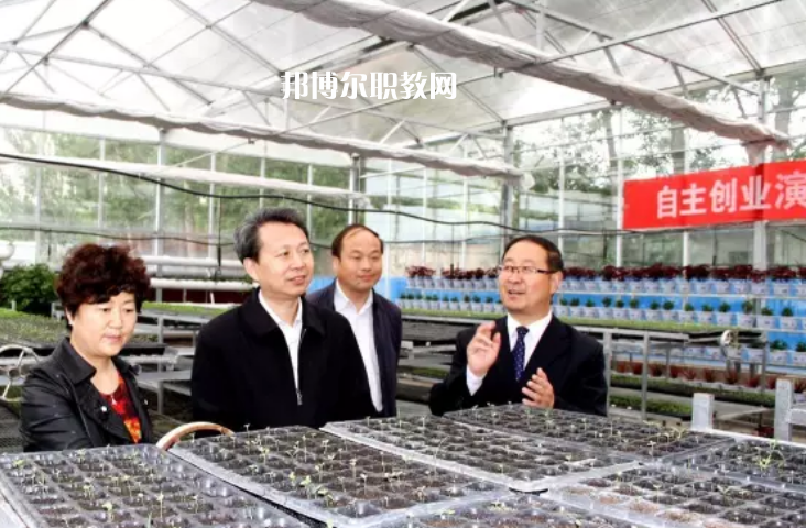 臨澤職業(yè)技術(shù)教育中心2022年報(bào)名條件、招生要求、招生對(duì)象 