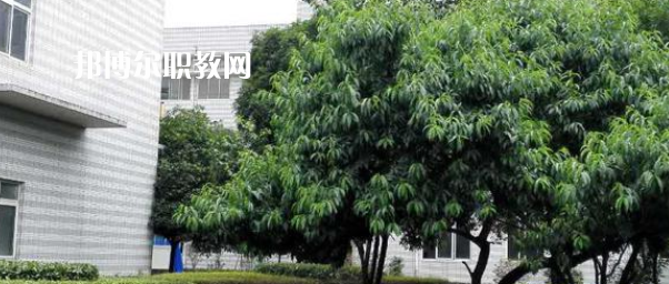 成都市中山職業(yè)技術(shù)學(xué)校2022年報(bào)名條件、招生要求、招生對(duì)象
