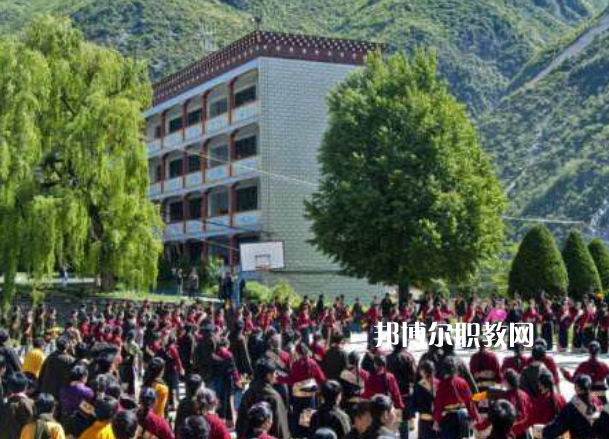 四川省藏文學校2022年報名條件、招生要求、招生對象