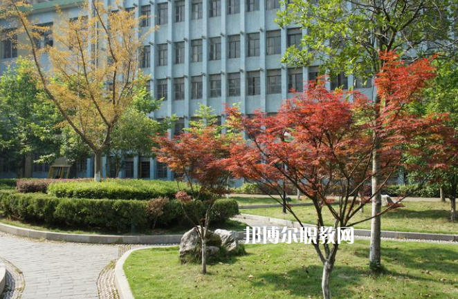 廉江市衛(wèi)生職業(yè)技術(shù)學(xué)校怎么樣、好不好
