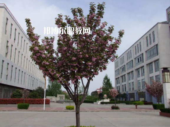 陳倉(cāng)區(qū)職業(yè)教育中心2022年報(bào)名條件、招生要求、招生對(duì)象