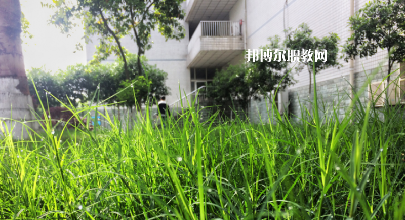樂(lè)山計(jì)算機(jī)學(xué)校2022年學(xué)費(fèi)、收費(fèi)多少