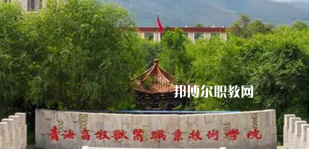 青海高職?？拼髮W(xué)2023年排名(文科)