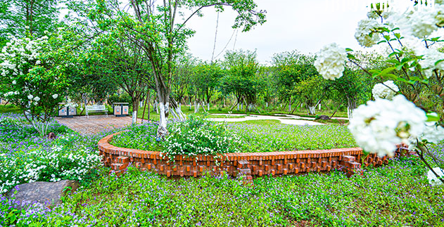 重慶望江技工學(xué)校地址在哪里，哪個(gè)地區(qū)，哪個(gè)城市?