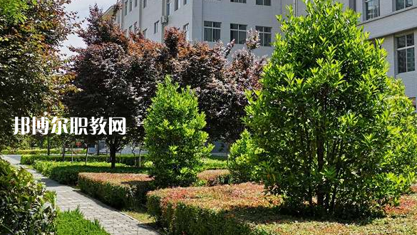 2023渭南技師學(xué)院招生計(jì)劃 招生人數(shù)是多少(附要求、條件、對象)