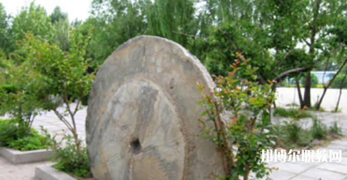 野風(fēng)美術(shù)中學(xué)怎么樣、好不好