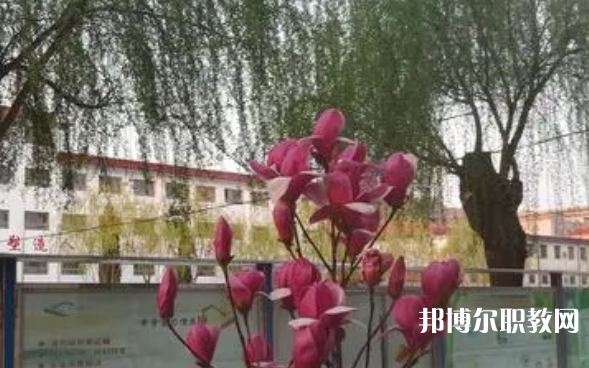 2023柏鄉(xiāng)縣職教中心招生計(jì)劃 招生人數(shù)是多少(附要求、條件、對象)