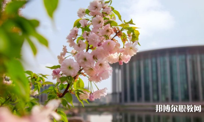 河南藝術職業(yè)學院中專部怎么樣、好不好