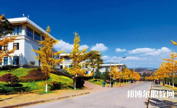 凌云縣職業(yè)技術(shù)學校地址，乘車路線