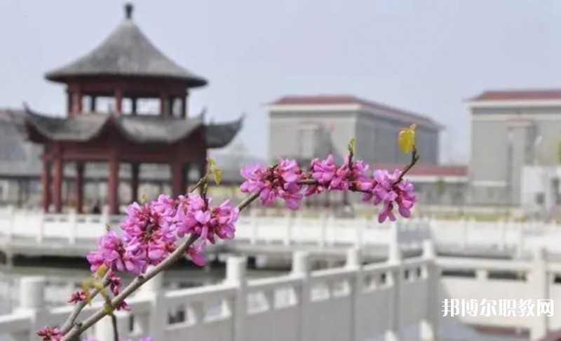 安慶藝術(shù)中專學校網(wǎng)站網(wǎng)址主頁