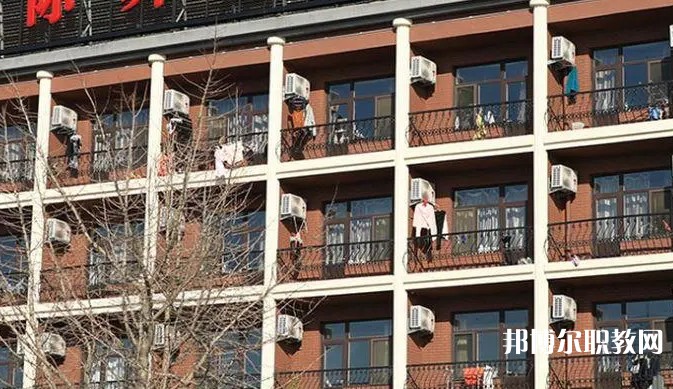 2024大連國際舞蹈學(xué)校招生計劃 招生人數(shù)是多少(附要求、條件、對象)