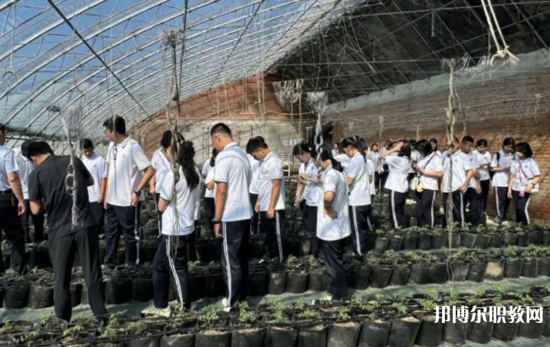 2024營(yíng)口市農(nóng)業(yè)工程學(xué)校招生計(jì)劃 招生人數(shù)是多少(附要求、條件、對(duì)象)